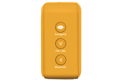 Carvaan Mini Gurbani - Saffron Orange