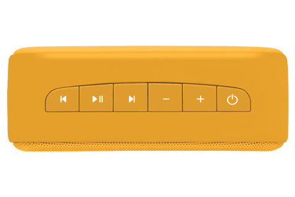 Carvaan Mini Gurbani - Saffron Orange